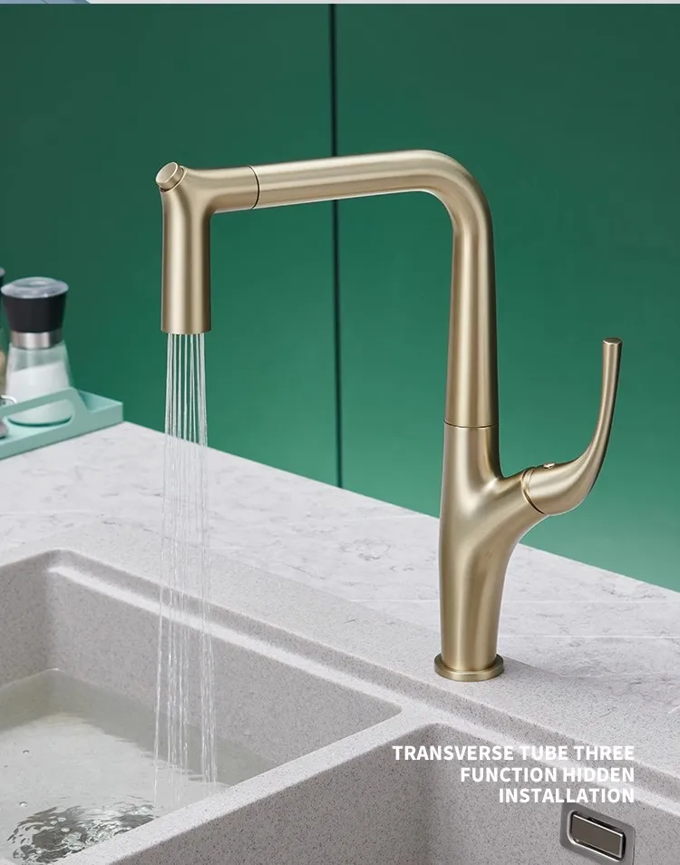 Herausziehbarer Wasserfilterha – Commercial Kitchen Mixer Tap Bewertung und Preis
